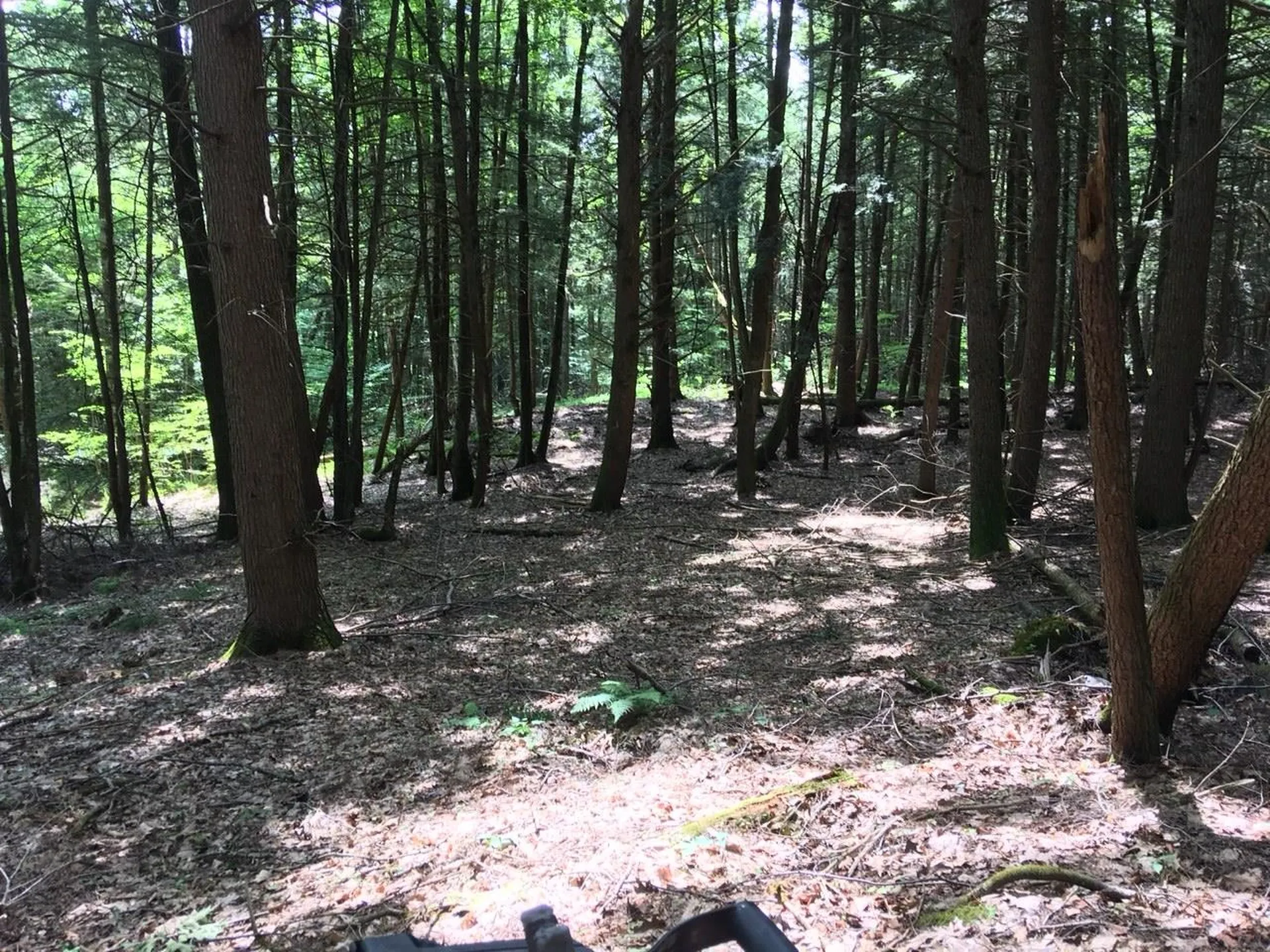 0 Old Ledge Road Westminster VT 05159