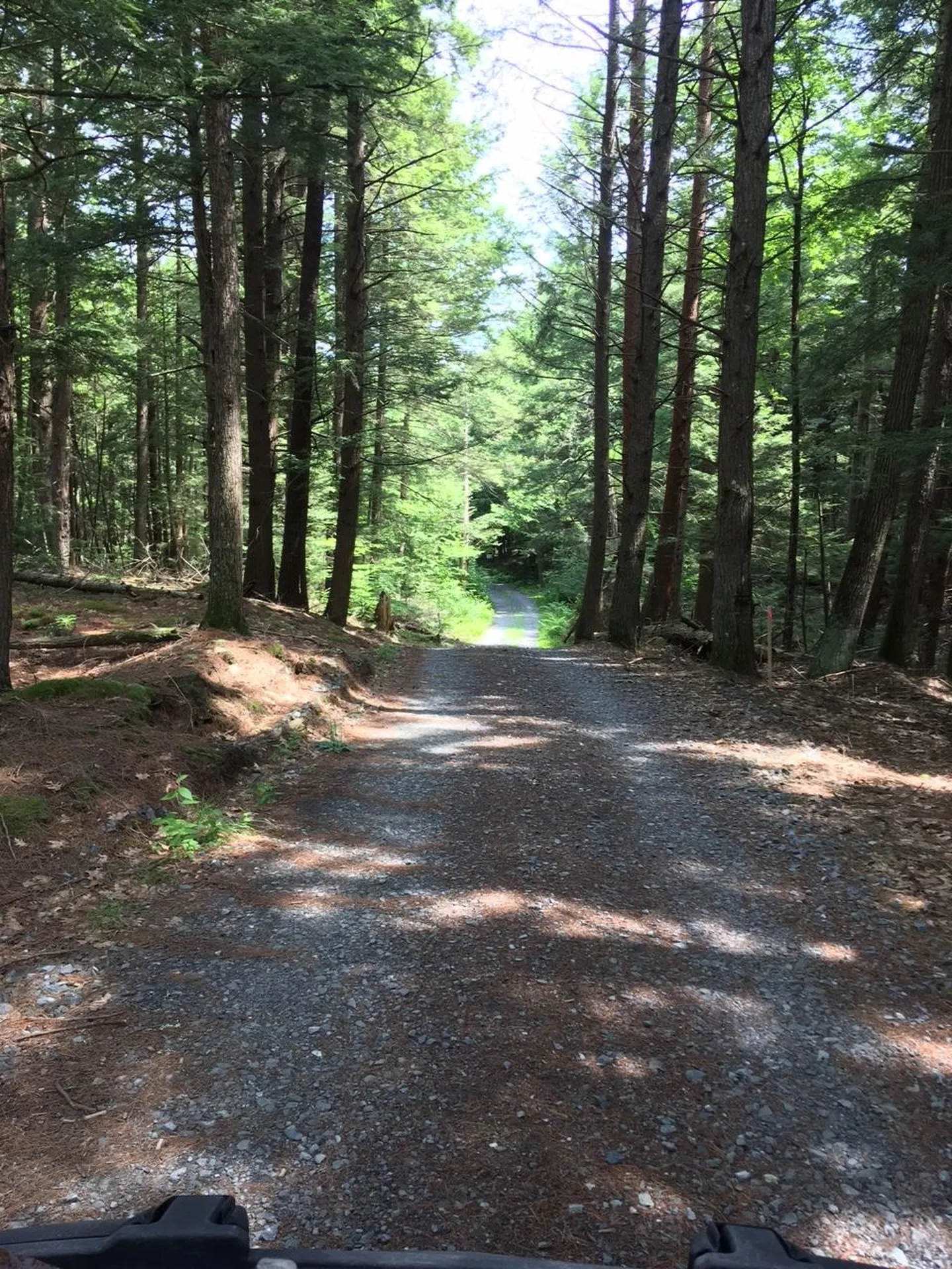 0 Old Ledge Road Westminster VT 05159