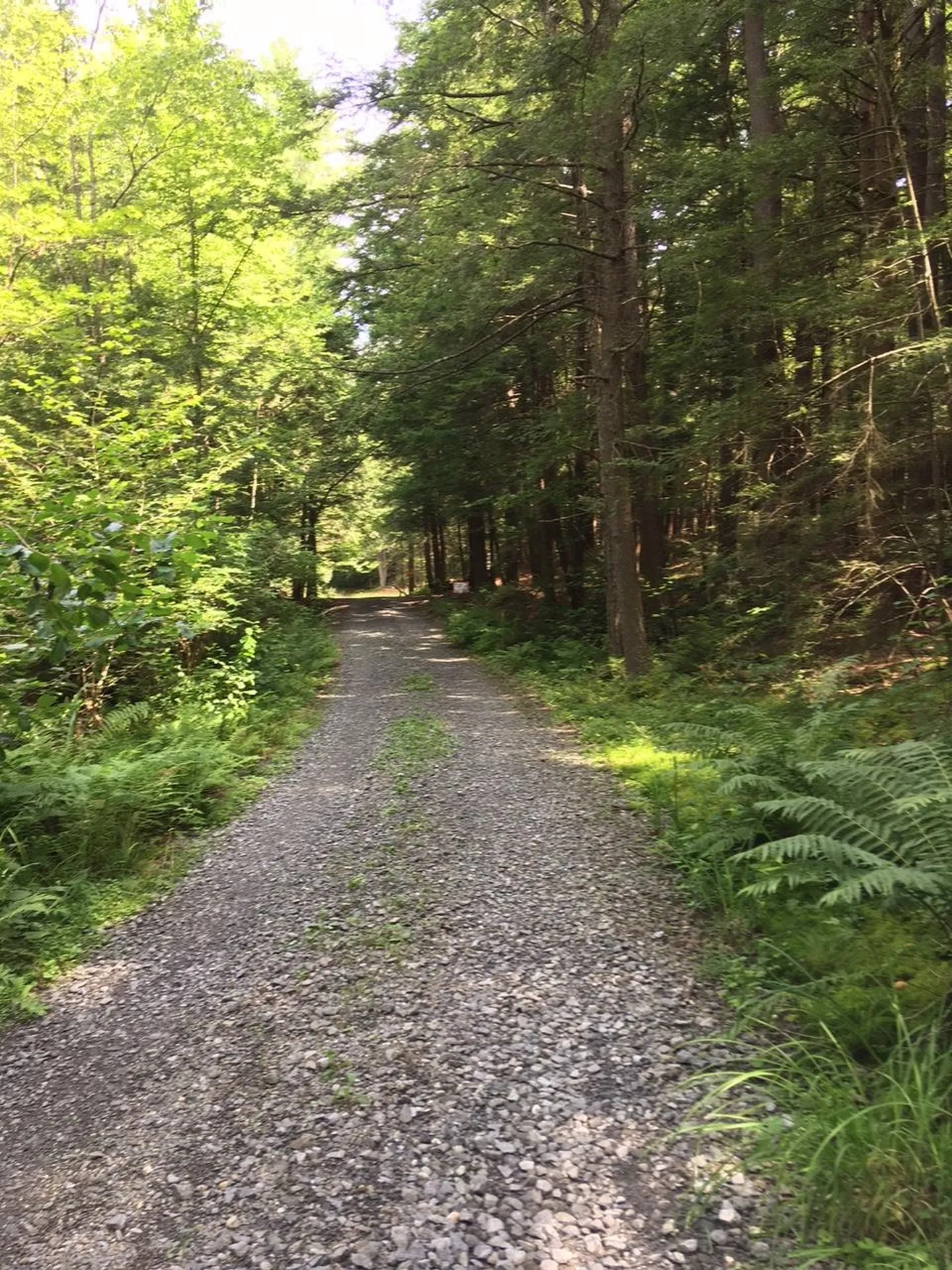 0 Old Ledge Road Westminster VT 05159