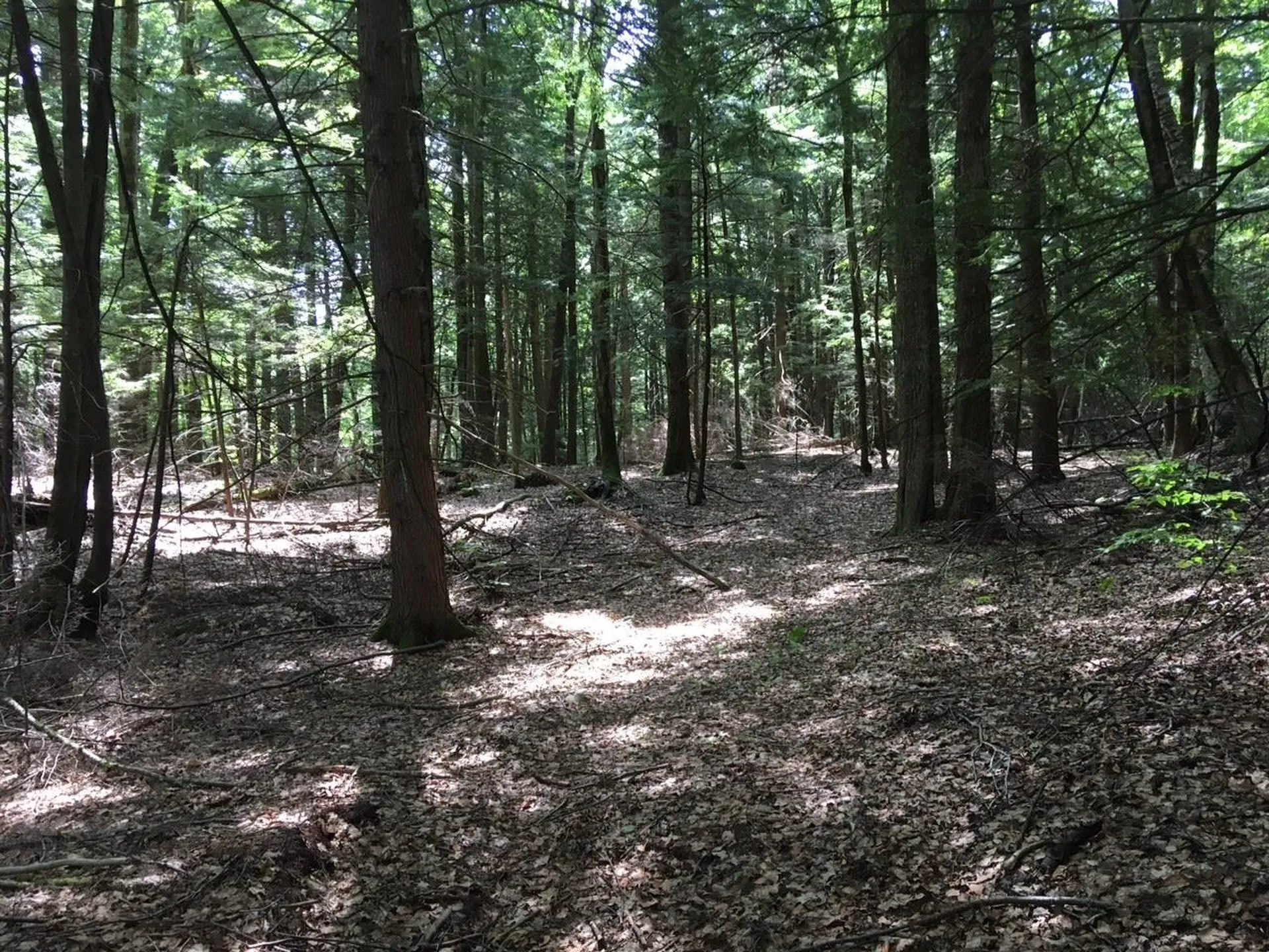 0 Old Ledge Road Westminster VT 05159