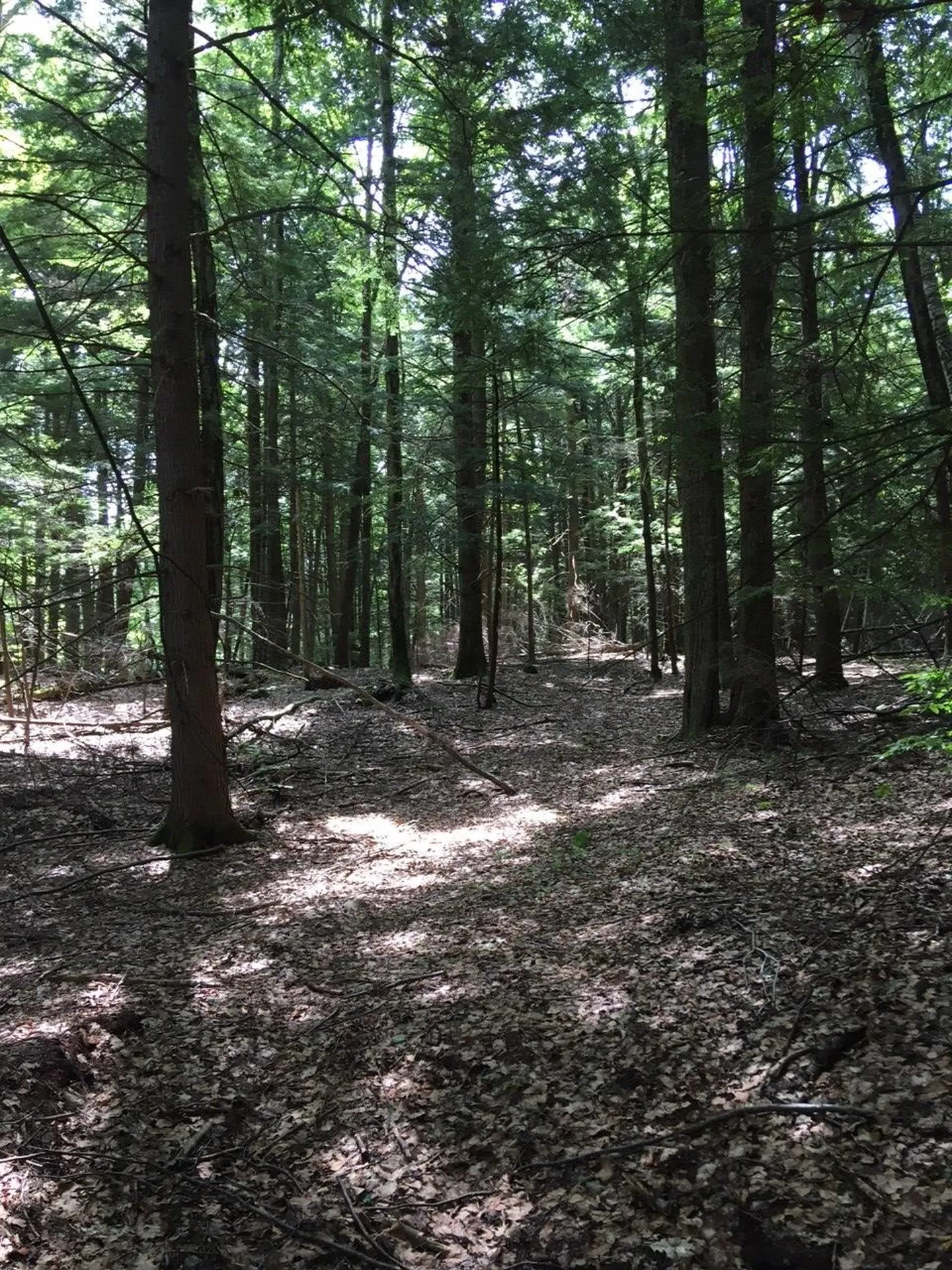 0 Old Ledge Road Westminster VT 05159