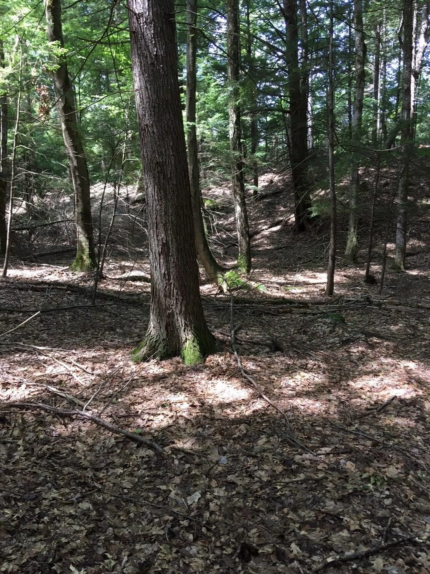 0 Old Ledge Road Westminster VT 05159