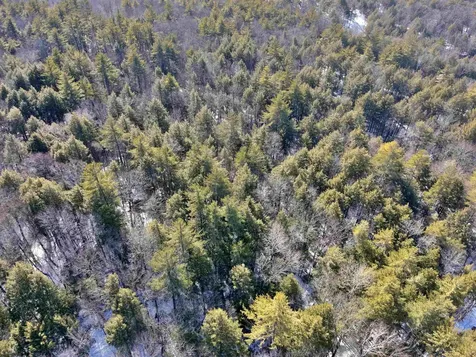 0 Old Ledge Road Westminster VT 05159