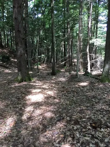 0 Old Ledge Road Westminster VT 05159