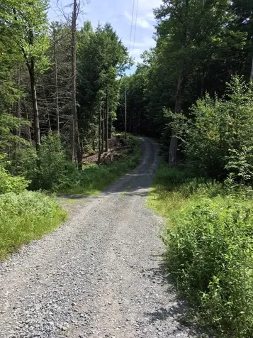 0 Old Ledge Road Westminster VT 05159