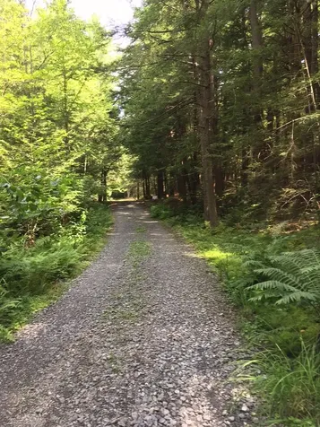 0 Old Ledge Road Westminster VT 05159