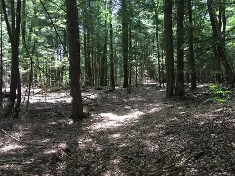 0 Old Ledge Road Westminster VT 05159