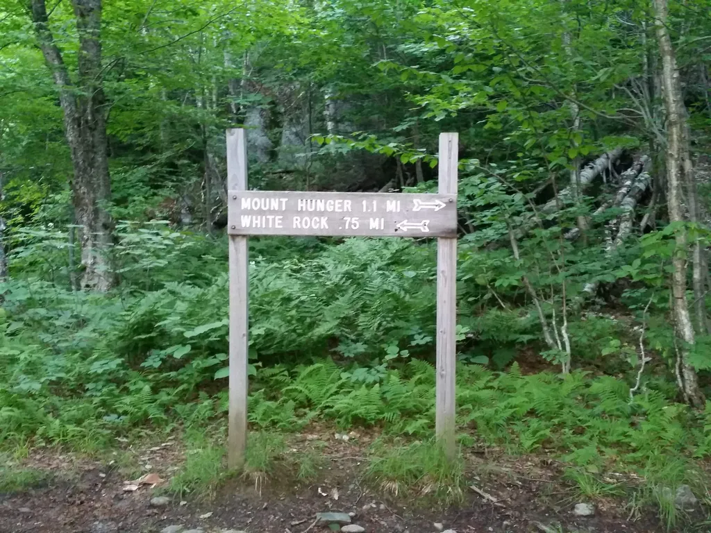 0 North Bear Swamp Road Middlesex VT 05602