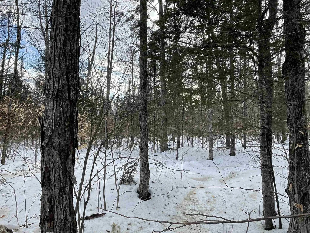 0 North Bear Swamp Road Middlesex VT 05602
