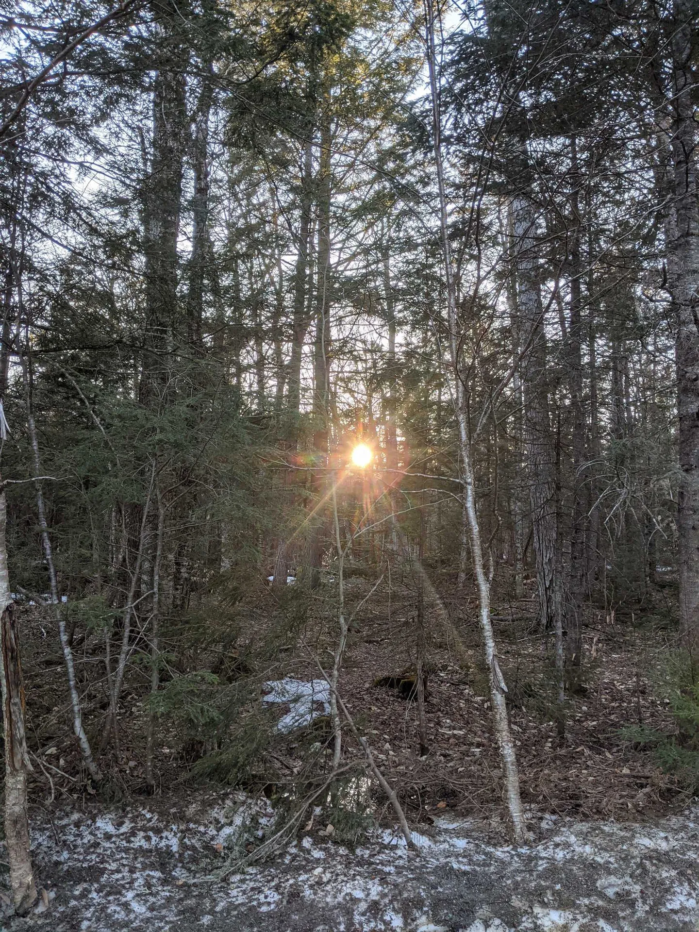 0 North Bear Swamp Road Middlesex VT 05602