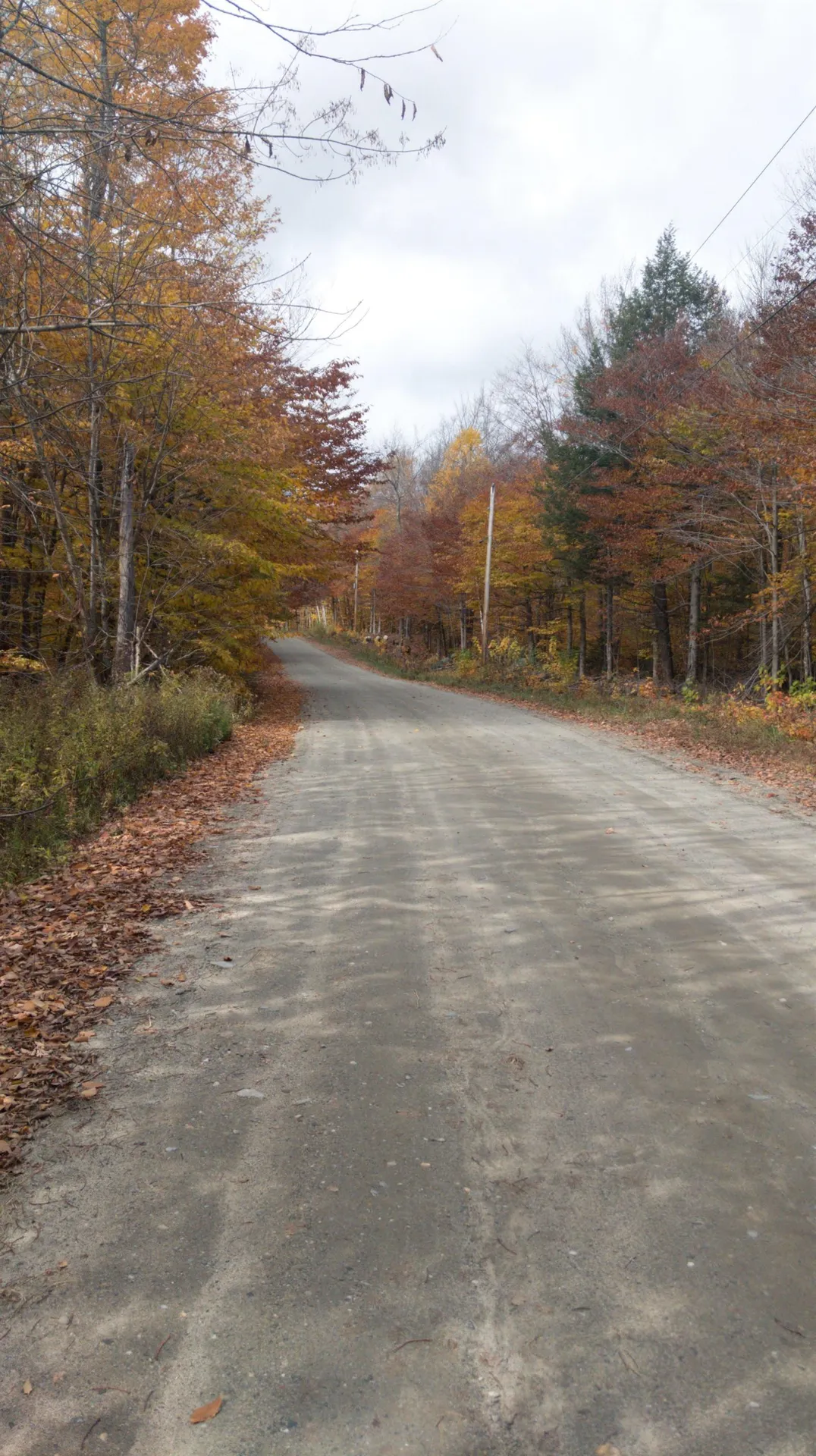 0 North Bear Swamp Road Middlesex VT 05602