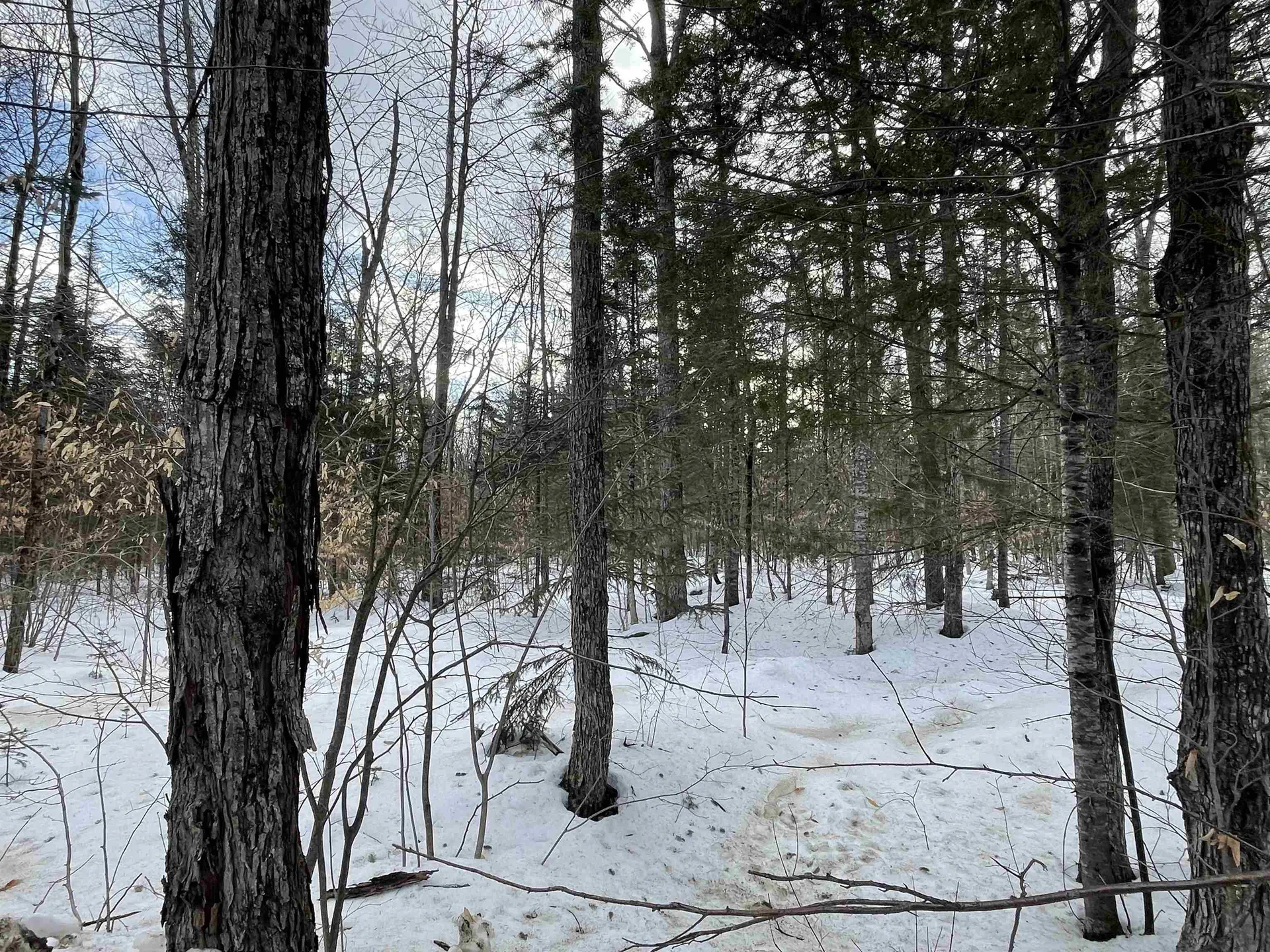 0 North Bear Swamp Road Middlesex VT 05602
