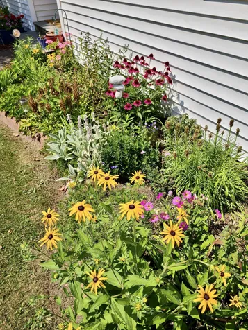 1133 Concord Avenue St. Johnsbury VT 05819
