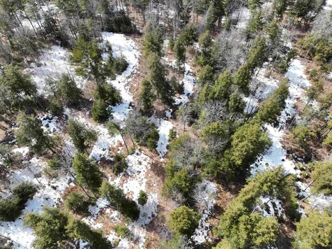 0 Eagle Shore Road Moultonborough NH 03245