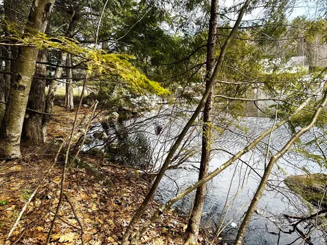 0 Eagle Shore Road Moultonborough NH 03245