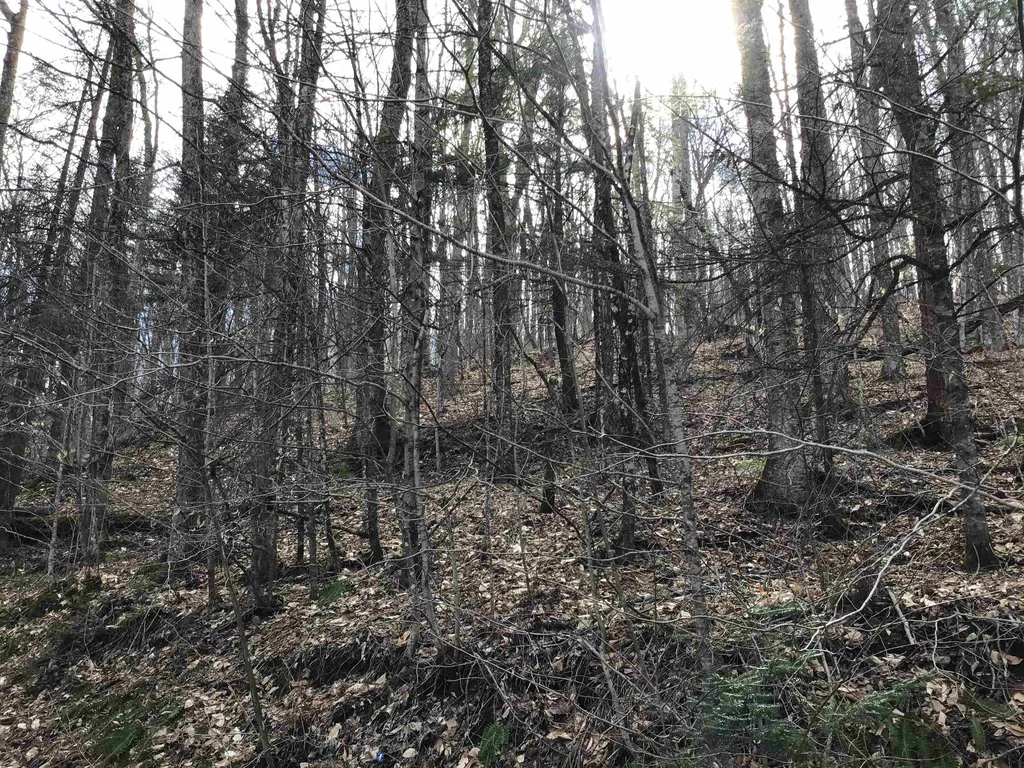 0 Williamstown Road Washington VT 05675