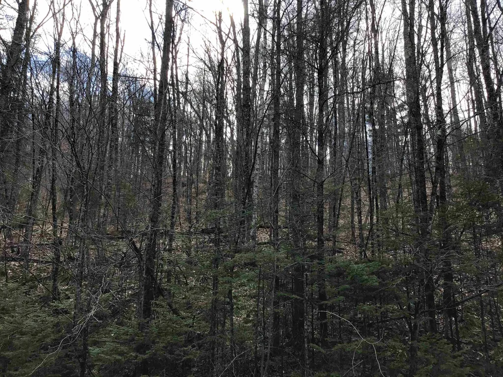 0 Williamstown Road Washington VT 05675
