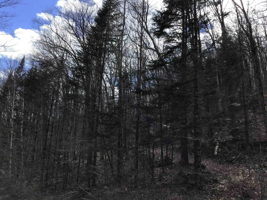 0 Williamstown Road Washington VT 05675