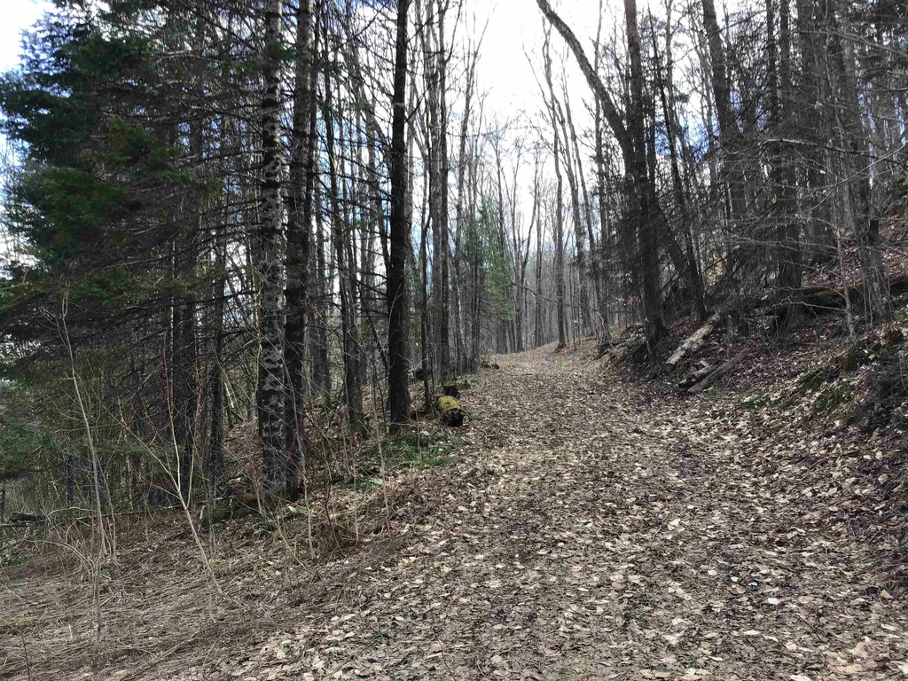 0 Williamstown Road Washington VT 05675