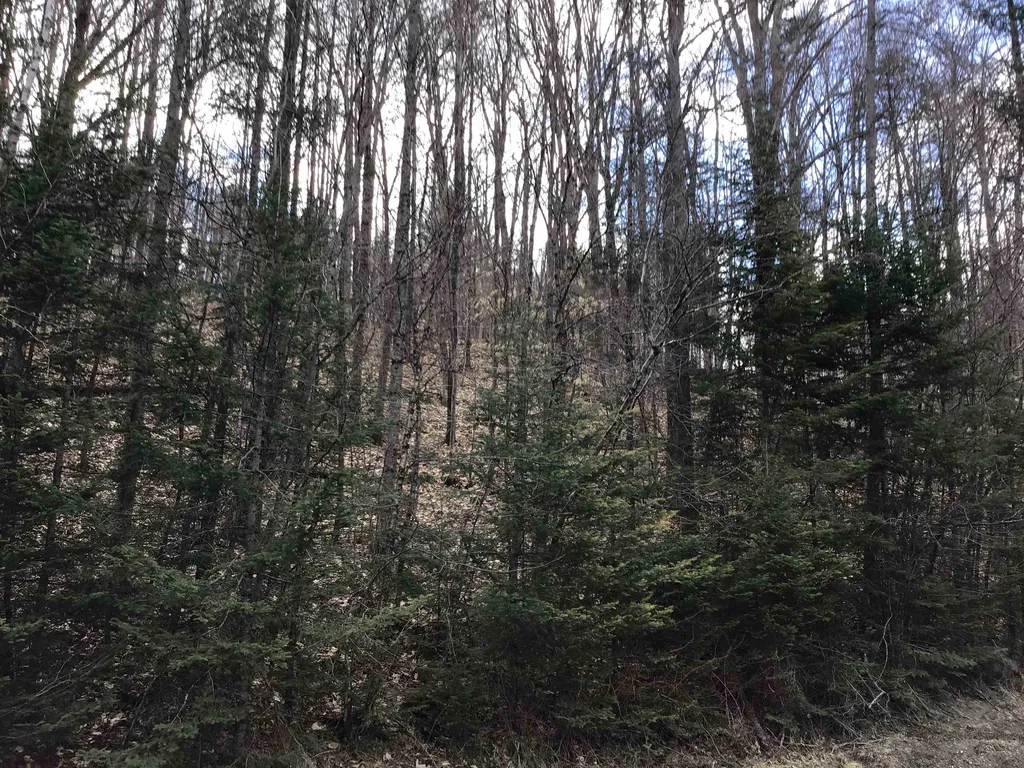 0 Williamstown Road Washington VT 05675