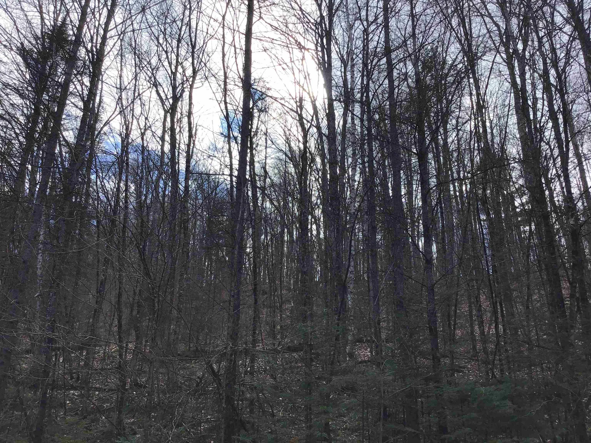0 Williamstown Road Washington VT 05675