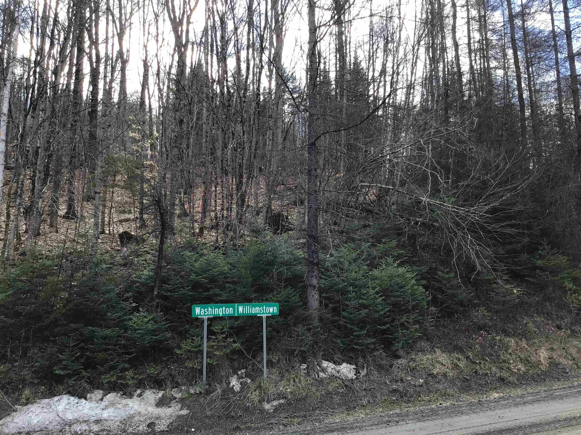 0 Williamstown Road Washington VT 05675