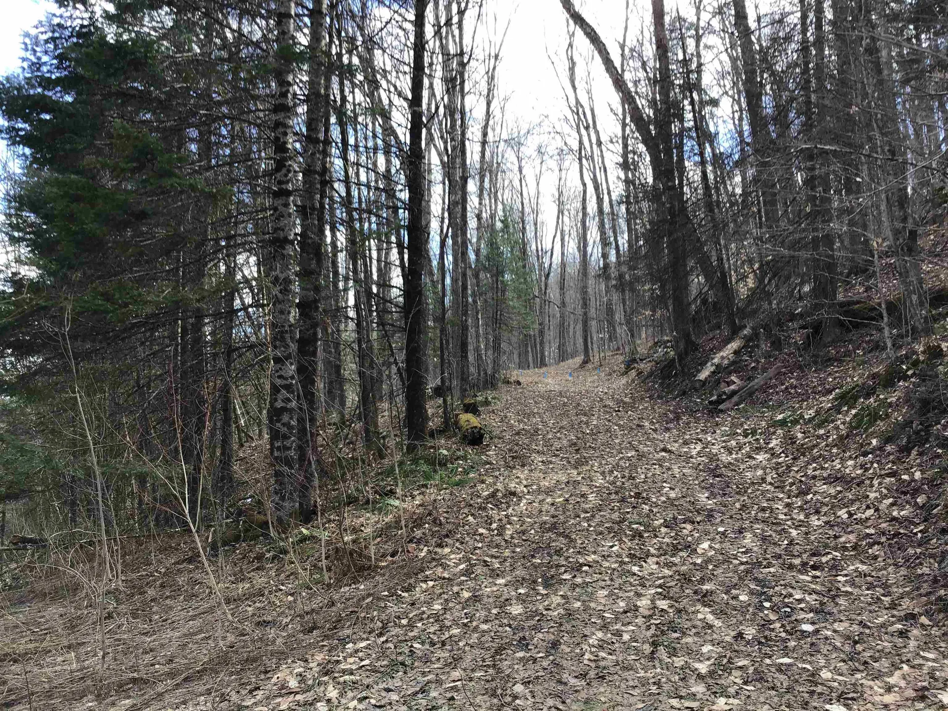 0 Williamstown Road Washington VT 05675