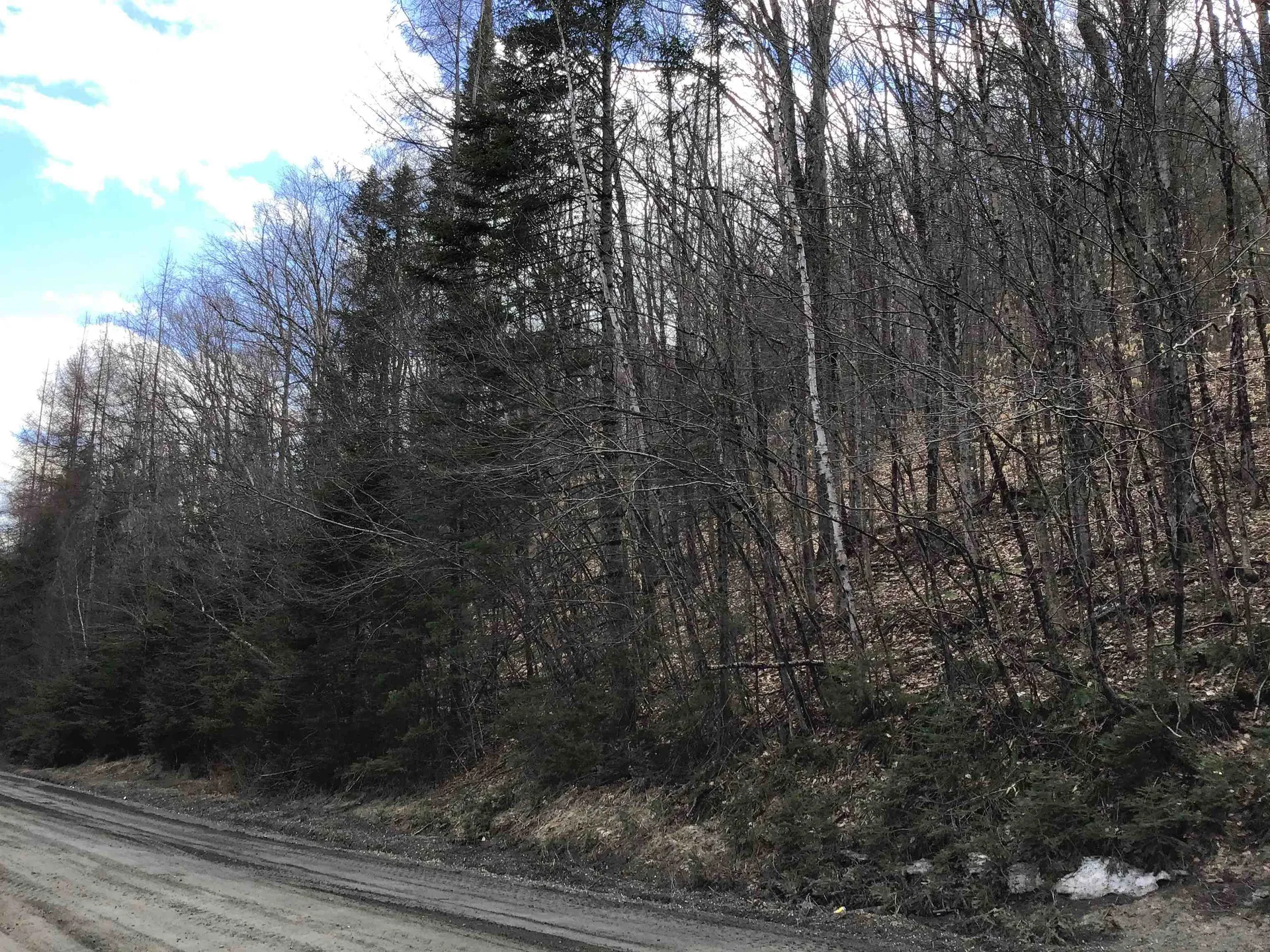 0 Williamstown Road Washington VT 05675