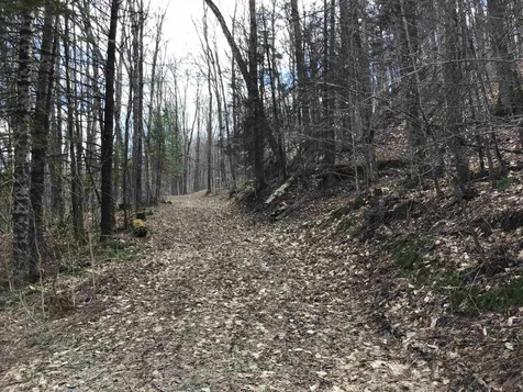 0 Williamstown Road Washington VT 05675