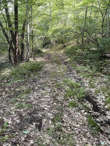 9 Cann Road Barnstead NH 03225