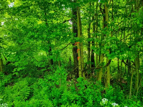 342 Access Road Rochester VT 05767