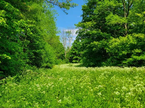 342 Access Road Rochester VT 05767