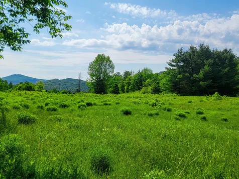 342 Access Road Rochester VT 05767