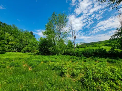 342 Access Road Rochester VT 05767