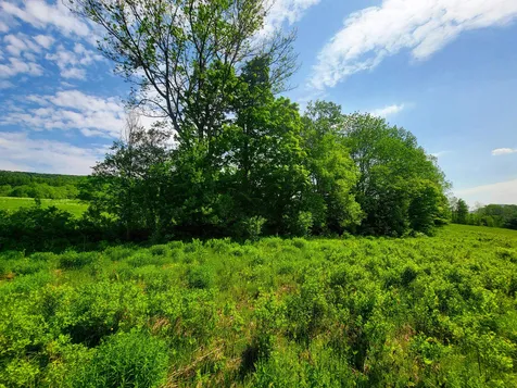342 Access Road Rochester VT 05767