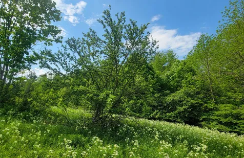 342 Access Road Rochester VT 05767