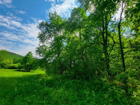 342 Access Road Rochester VT 05767