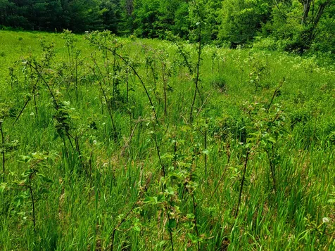 342 Access Road Rochester VT 05767