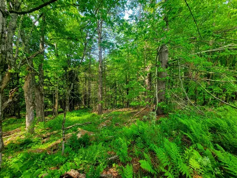 342 Access Road Rochester VT 05767