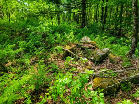 342 Access Road Rochester VT 05767