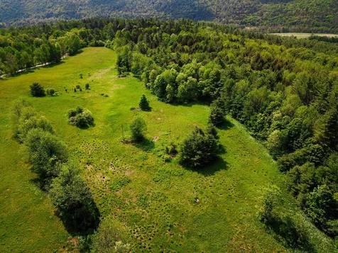 342 Access Road Rochester VT 05767