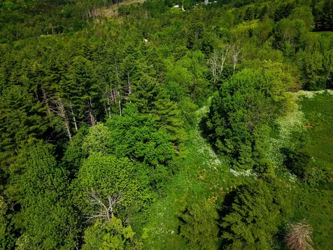 342 Access Road Rochester VT 05767