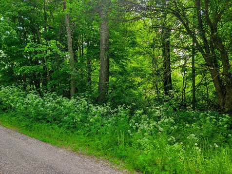 342 Access Road Rochester VT 05767