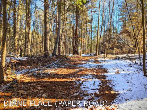 Diane Place Wakefield NH 03872