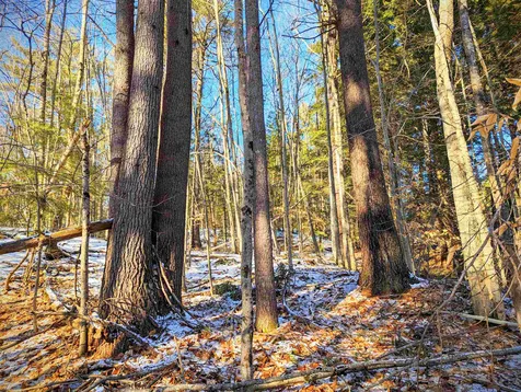 Diane Place Wakefield NH 03872