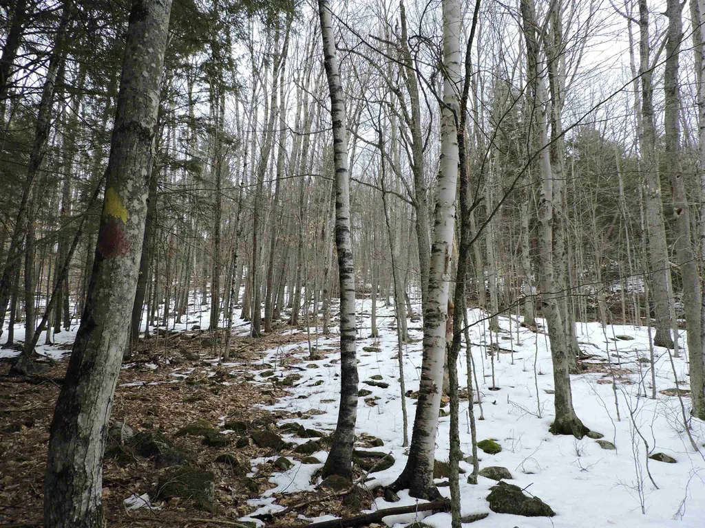 0 Mascoma Heights Drive Enfield NH 03748