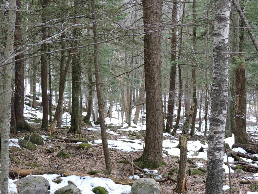 0 Mascoma Heights Drive Enfield NH 03748