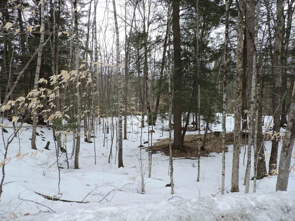 0 Mascoma Heights Drive Enfield NH 03748