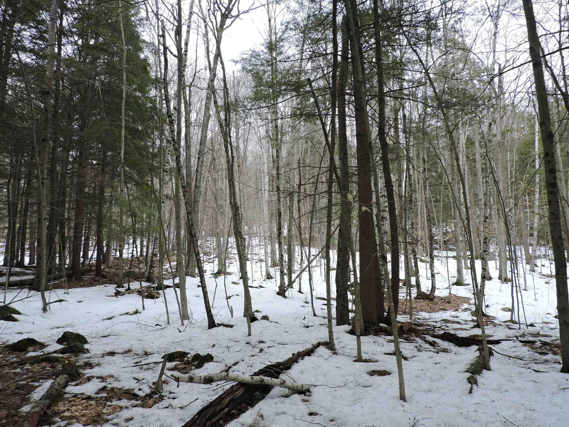 0 Mascoma Heights Drive Enfield NH 03748