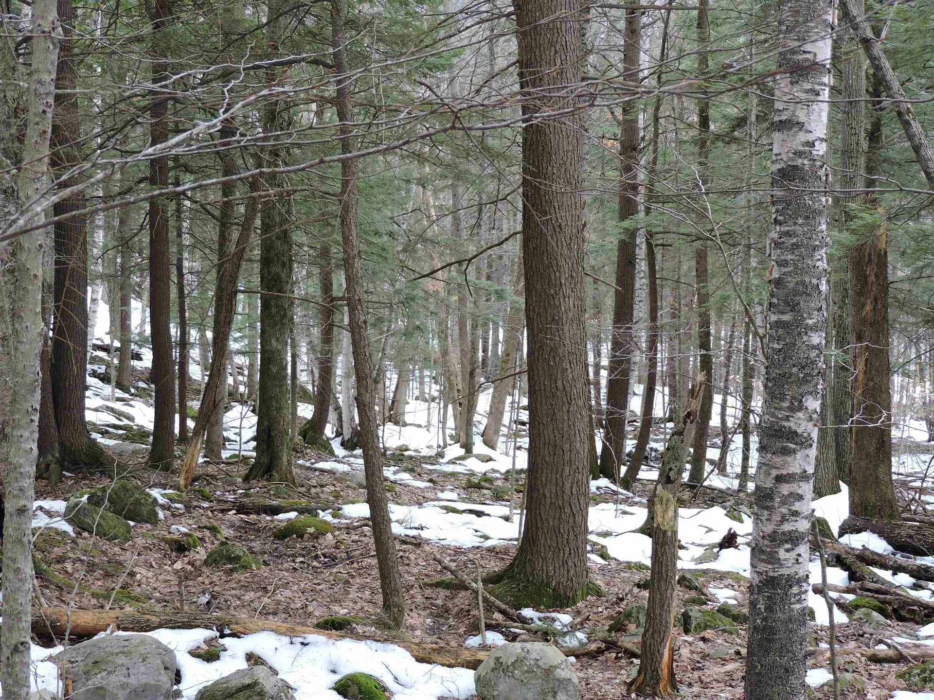 0 Mascoma Heights Drive Enfield NH 03748
